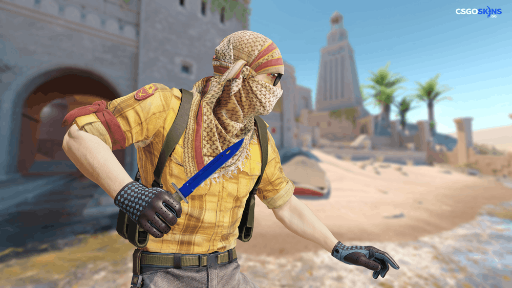 ★ Bayonet | Doppler Sapphire Artwork