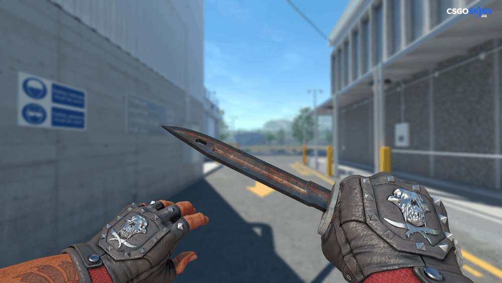 ★ Bayonet | Rust Coat Artwork