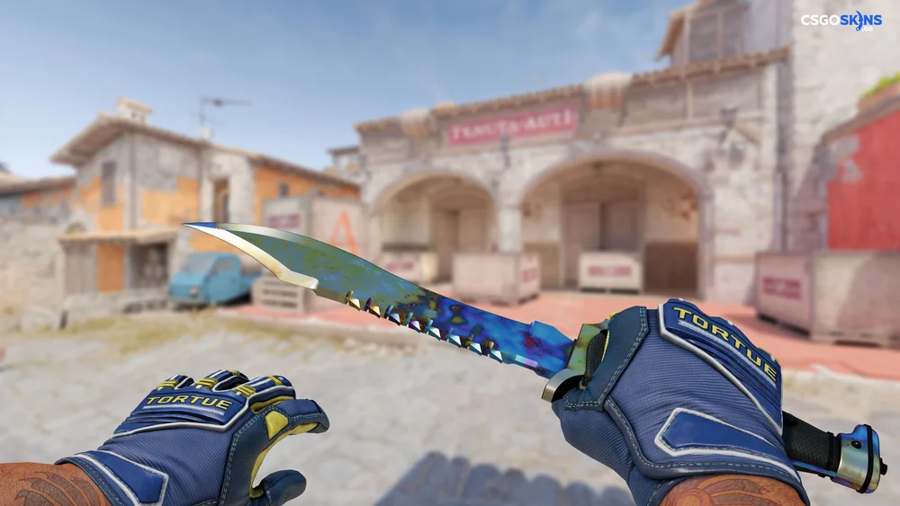 ★ Bowie Knife | Case Hardened Artwork