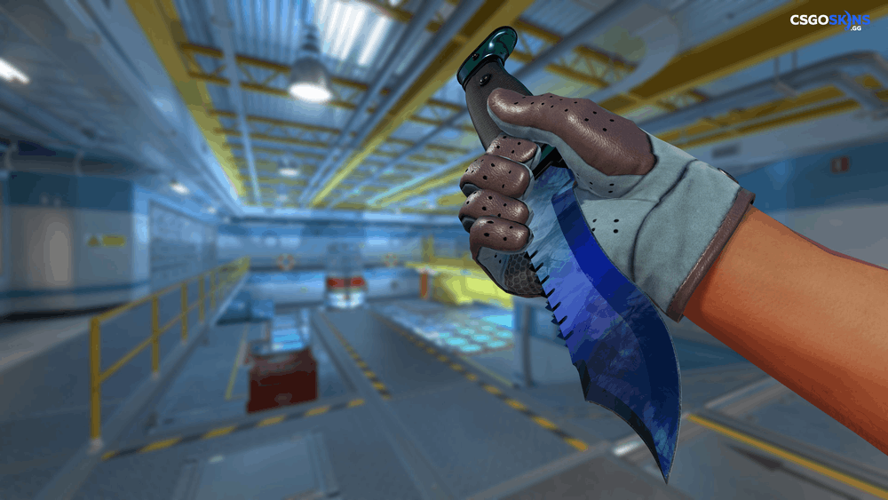 ★ Bowie Knife | Doppler Phase 3 Artwork