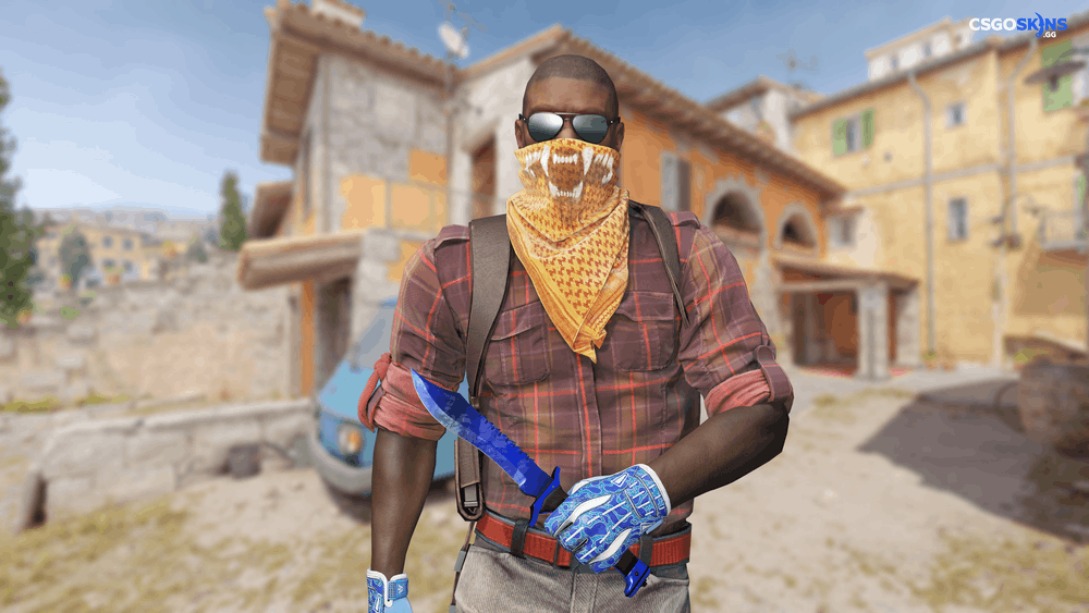 ★ Bowie Knife | Doppler Phase 4 Artwork