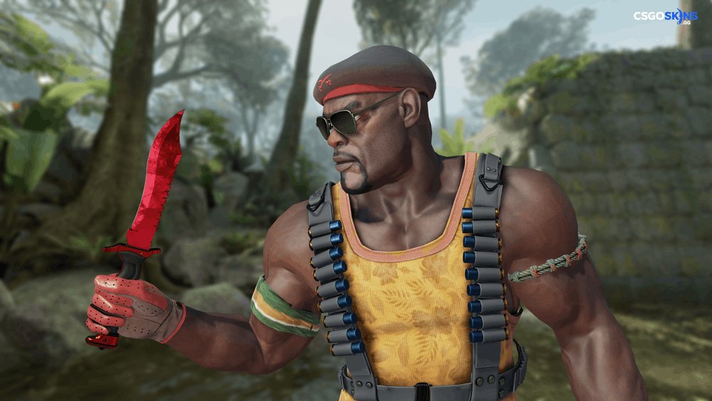 ★ Bowie Knife | Doppler Ruby Artwork