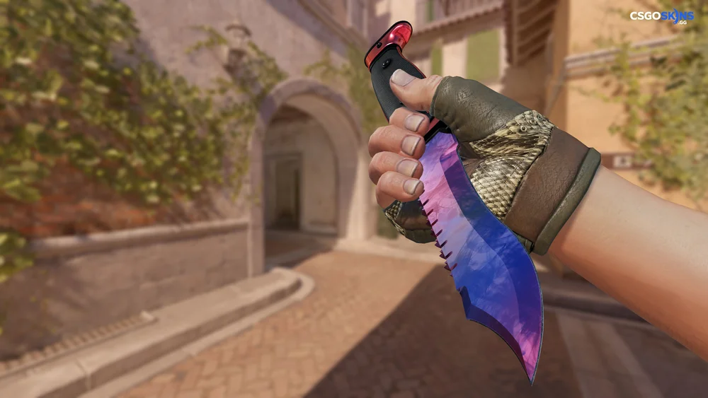 ★ Bowie Knife | Doppler Artwork