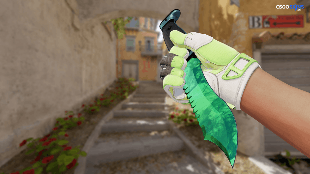 ★ Bowie Knife | Gamma Doppler Emerald Artwork