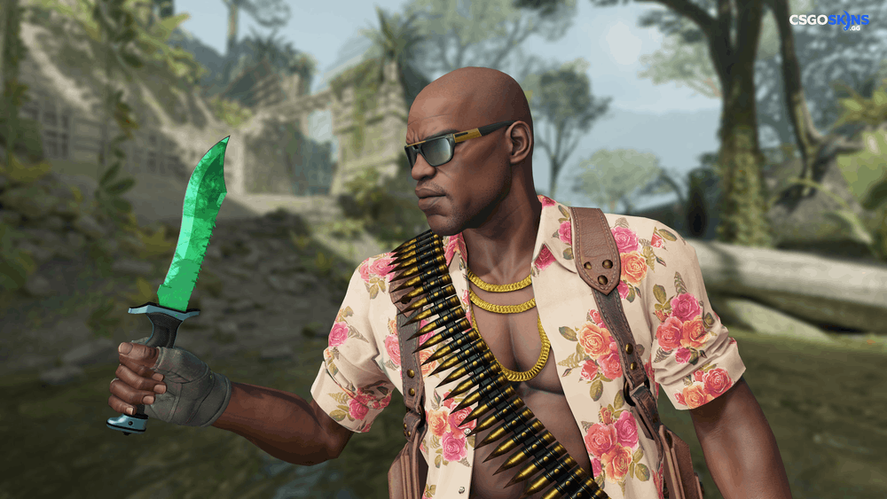 ★ Bowie Knife | Gamma Doppler Emerald Artwork