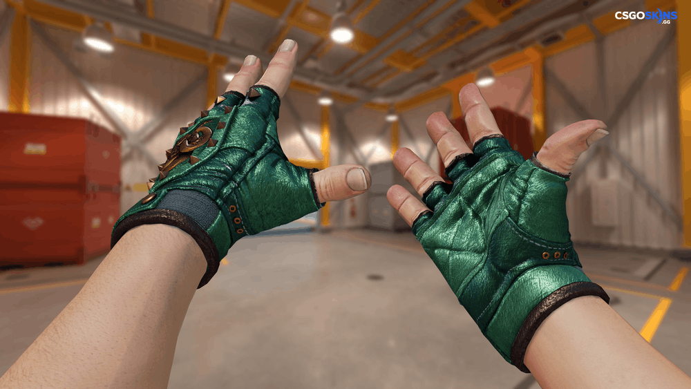 ★ Broken Fang Gloves | Jade Artwork