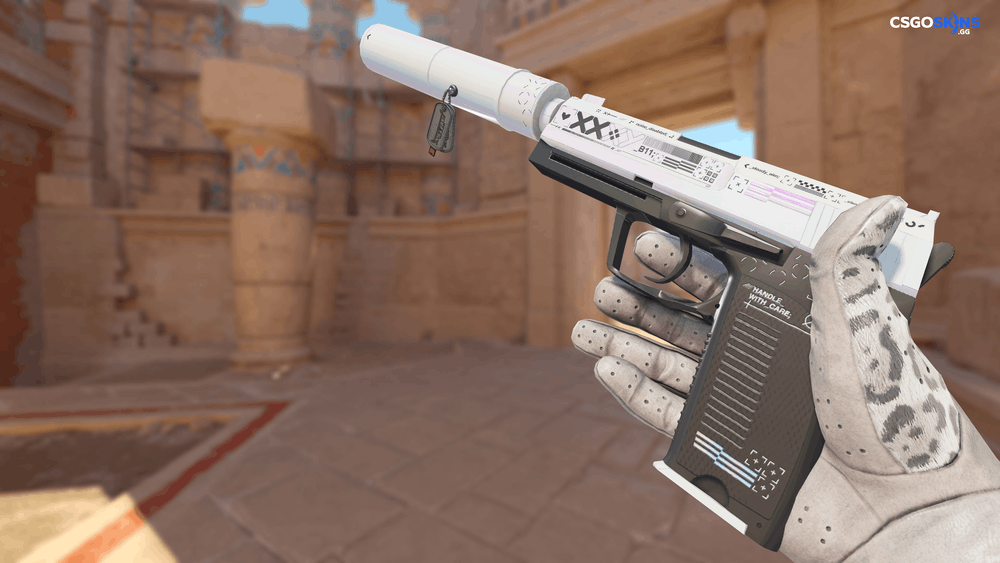Charm | Austin 2025 Highlight | Almost 500 Damage Artwork