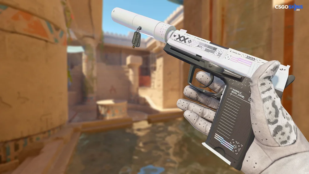 Charm | Austin 2025 Highlight | AWP Defender Artwork