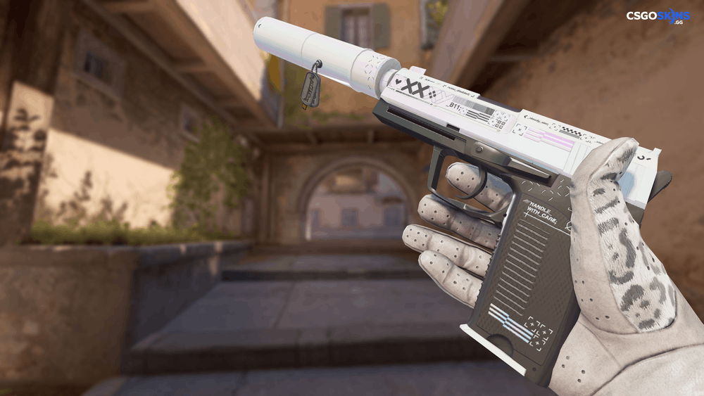 Charm | Austin 2025 Highlight | AWP Denied Artwork