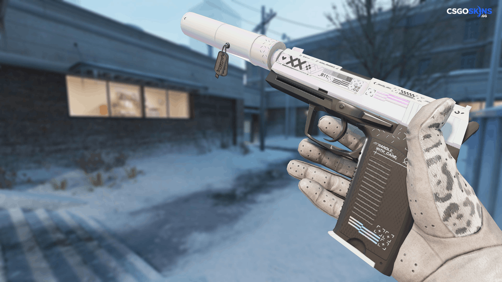 Charm | Austin 2025 Highlight | Double AWP Entry Artwork