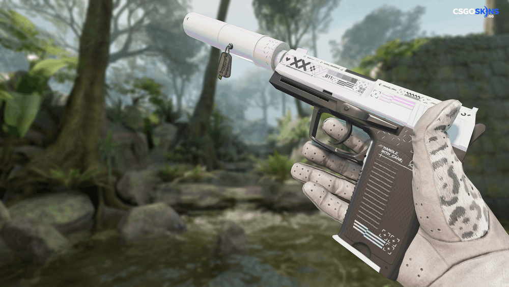 Charm | Austin 2025 Highlight | FalleN Double Nuke Kill Artwork