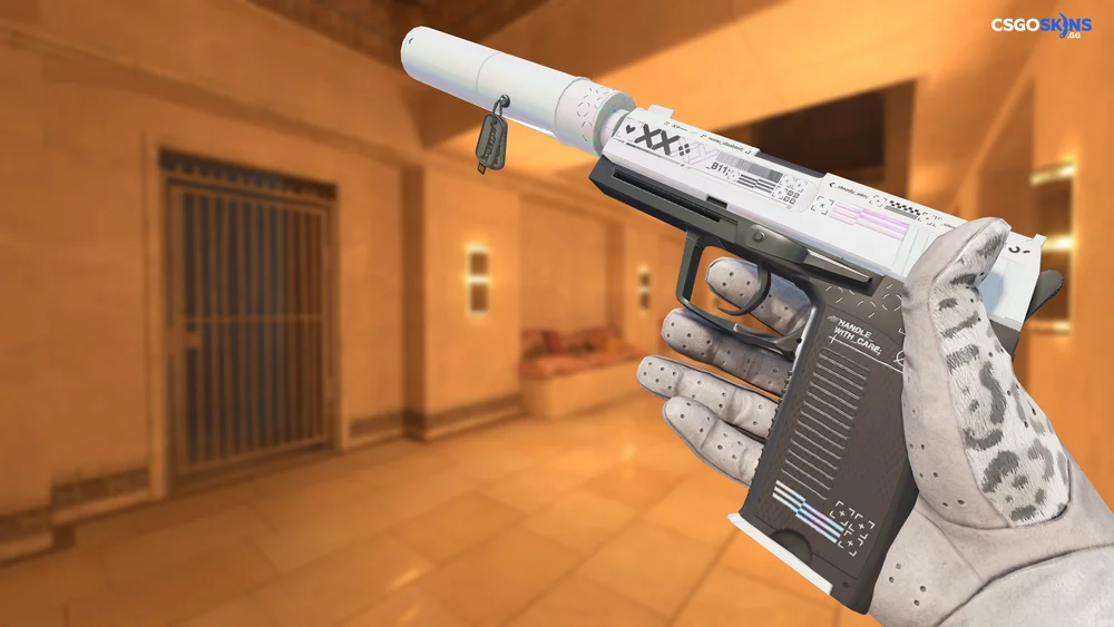 Charm | Austin 2025 Highlight | flameZ Double Nuke Kill Artwork