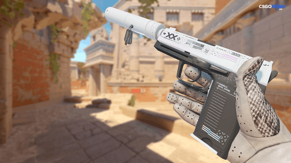 Charm | Budapest 2025 Highlight | Twistzz vs Natus Vincere on Nuke Artwork