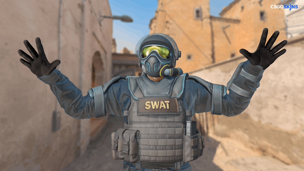 Chem-Haz Specialist | SWAT Artwork
