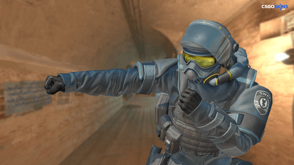 Chem-Haz Specialist | SWAT Artwork