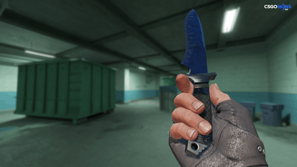 ★ Classic Knife | Blue Steel Artwork