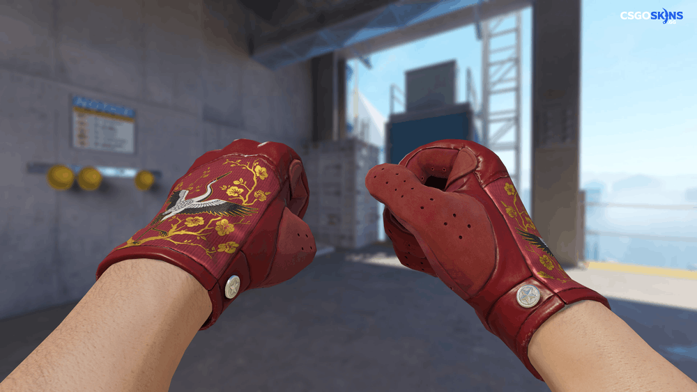 ★ Driver Gloves | Brocade Crane Artwork