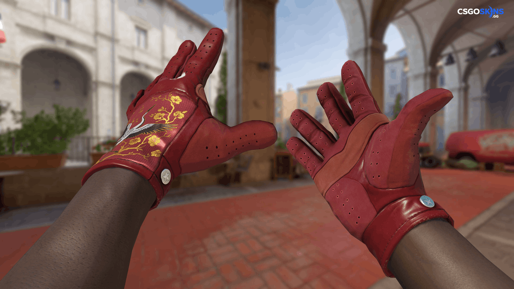 ★ Driver Gloves | Brocade Crane Artwork