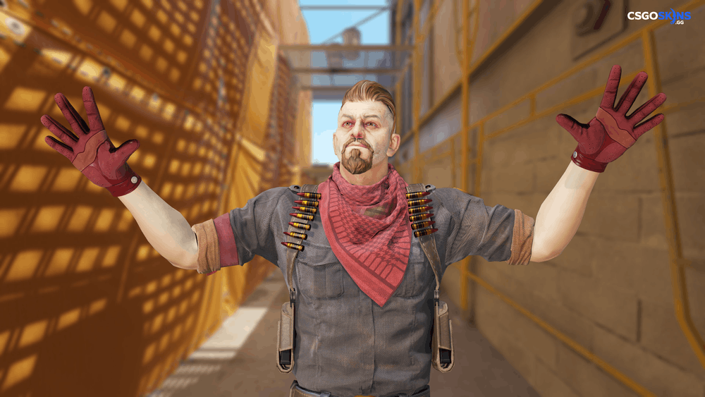 ★ Driver Gloves | Brocade Crane Artwork