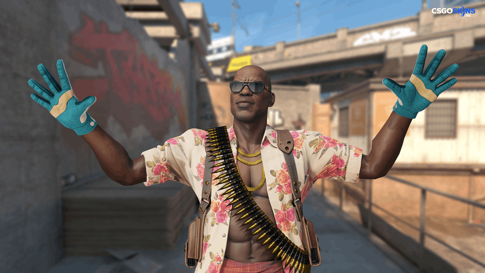 ★ Driver Gloves | Garden Artwork