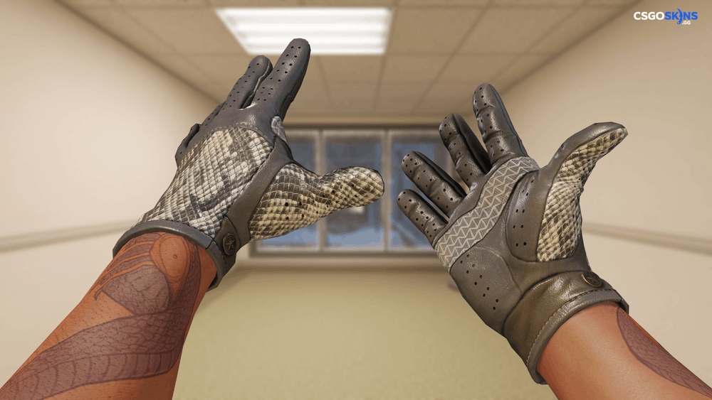 ★ Driver Gloves | Diamondback Artwork