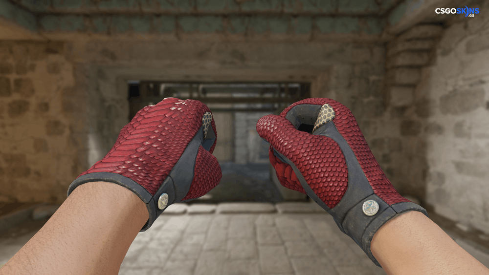 ★ Driver Gloves | Dragon Fists Artwork