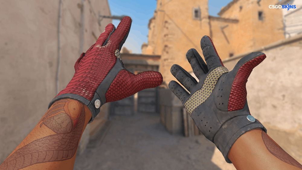 ★ Driver Gloves | Dragon Fists Artwork