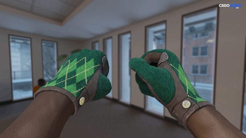 ★ Driver Gloves | Hand Sweaters Artwork