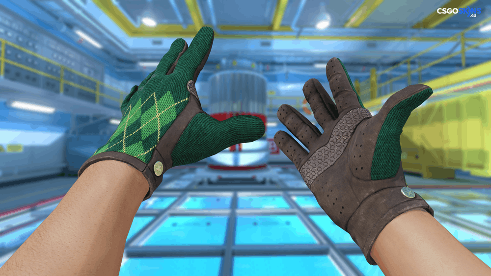 ★ Driver Gloves | Hand Sweaters Artwork