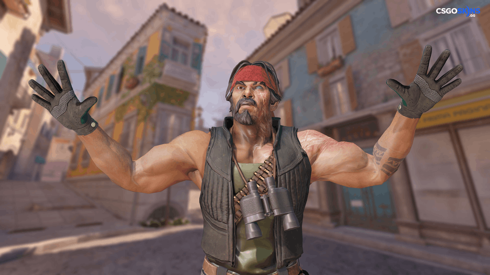 ★ Driver Gloves | Hand Sweaters Artwork