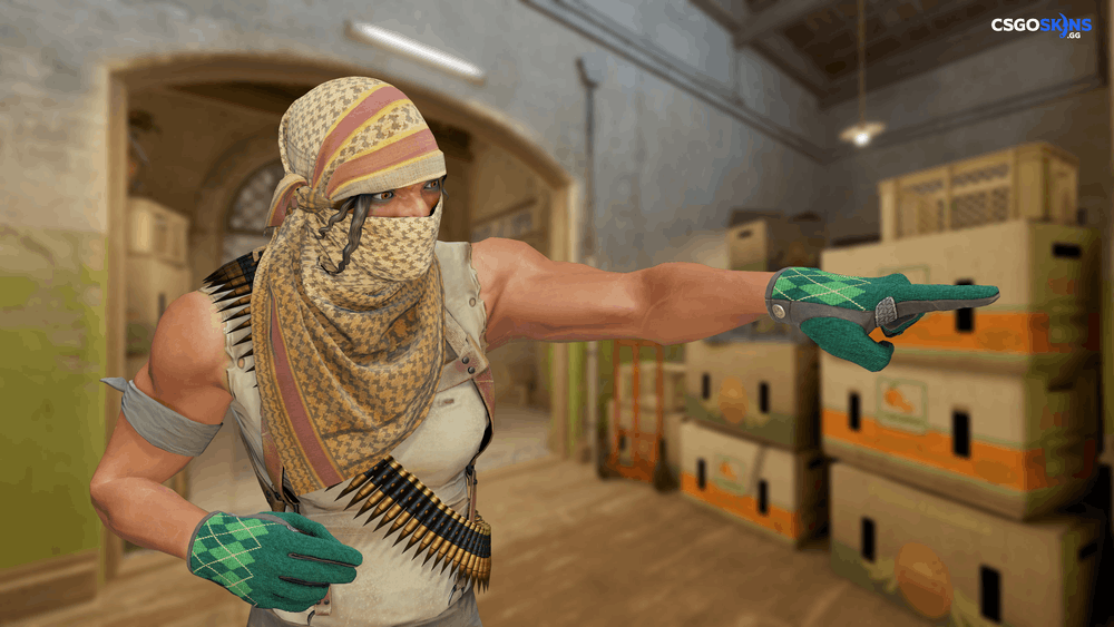 ★ Driver Gloves | Hand Sweaters Artwork