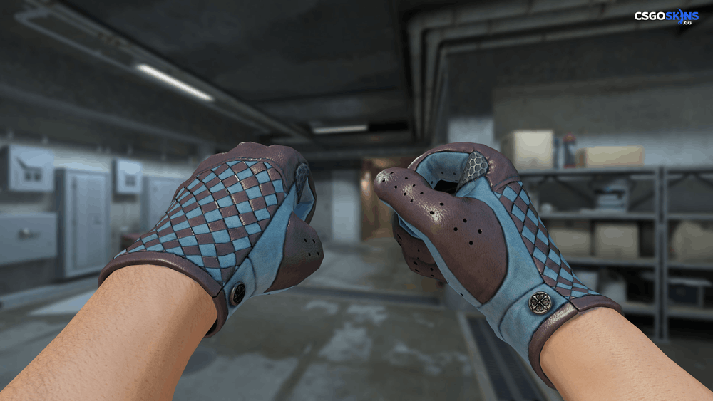 ★ Driver Gloves | Lunar Weave Artwork