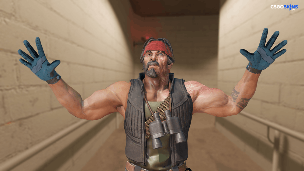 ★ Driver Gloves | Seigaiha Artwork