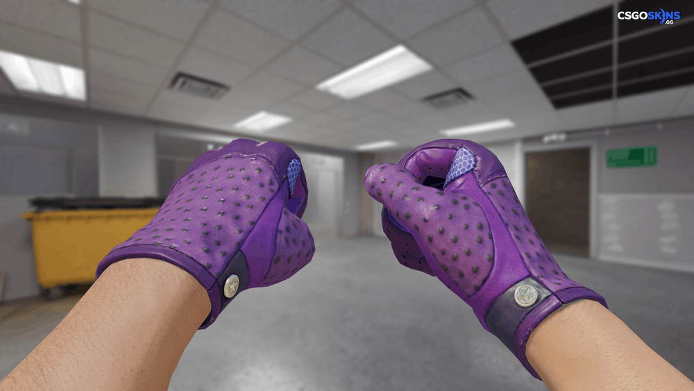 ★ Driver Gloves | Plum Quill Artwork