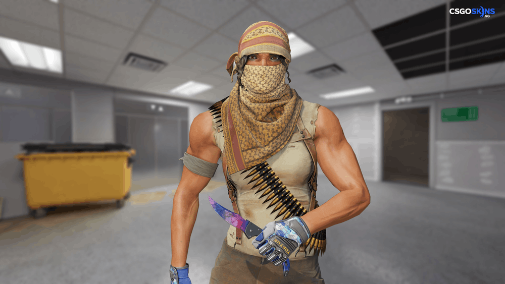 ★ Falchion Knife | Doppler Phase 1 Artwork