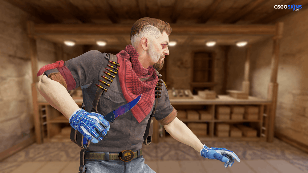 ★ Falchion Knife | Doppler Phase 1 Artwork