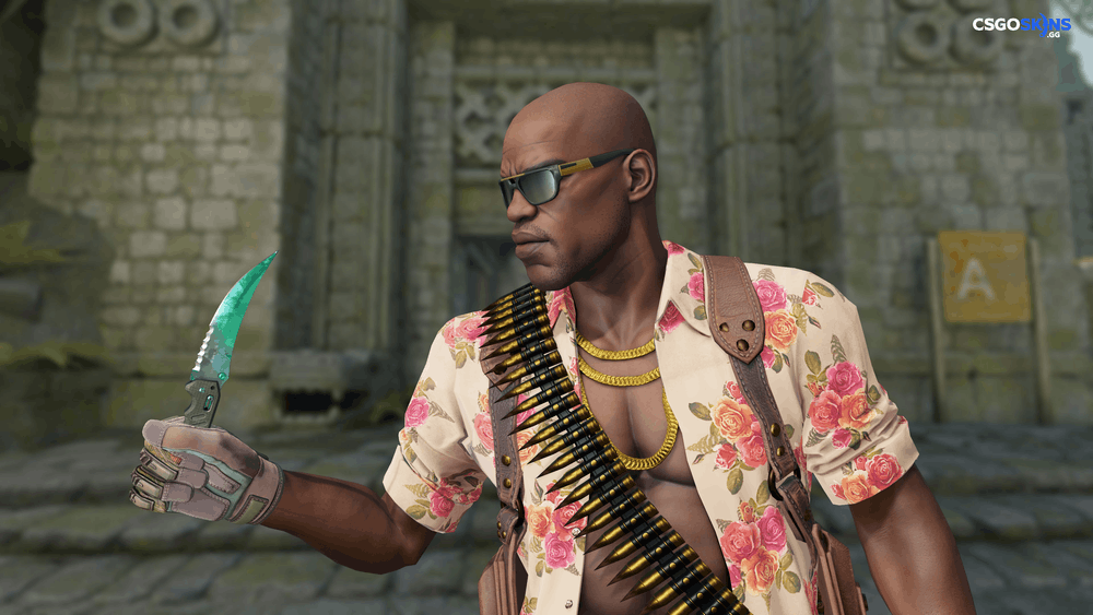 ★ Flip Knife | Gamma Doppler Phase 2 Artwork