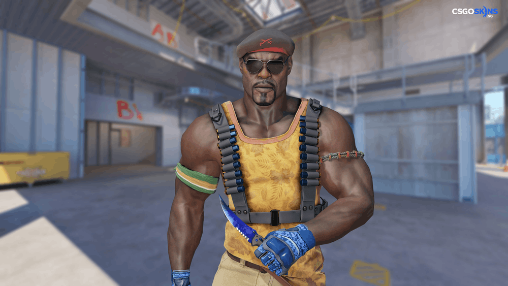 ★ Flip Knife | Doppler Phase 4 Artwork