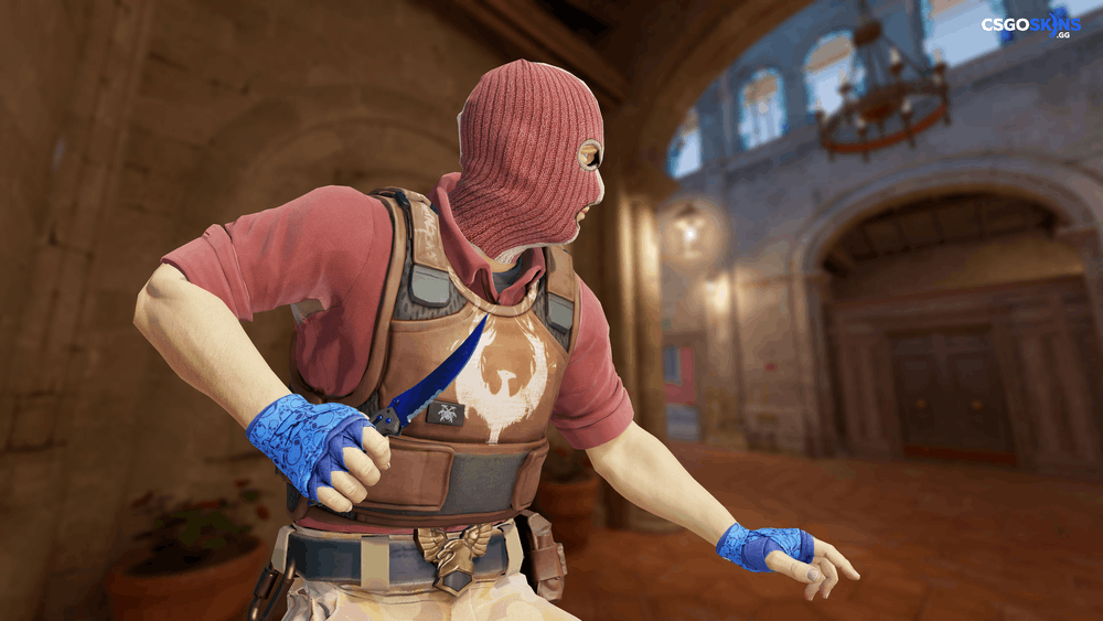 ★ Flip Knife | Doppler Phase 4 Artwork