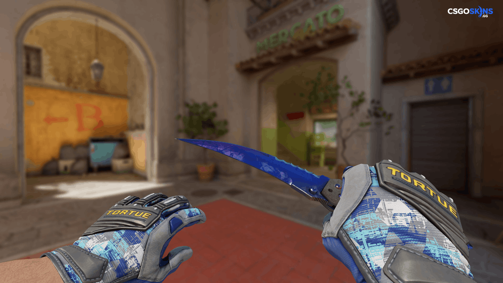 ★ Flip Knife | Doppler Phase 1 Artwork