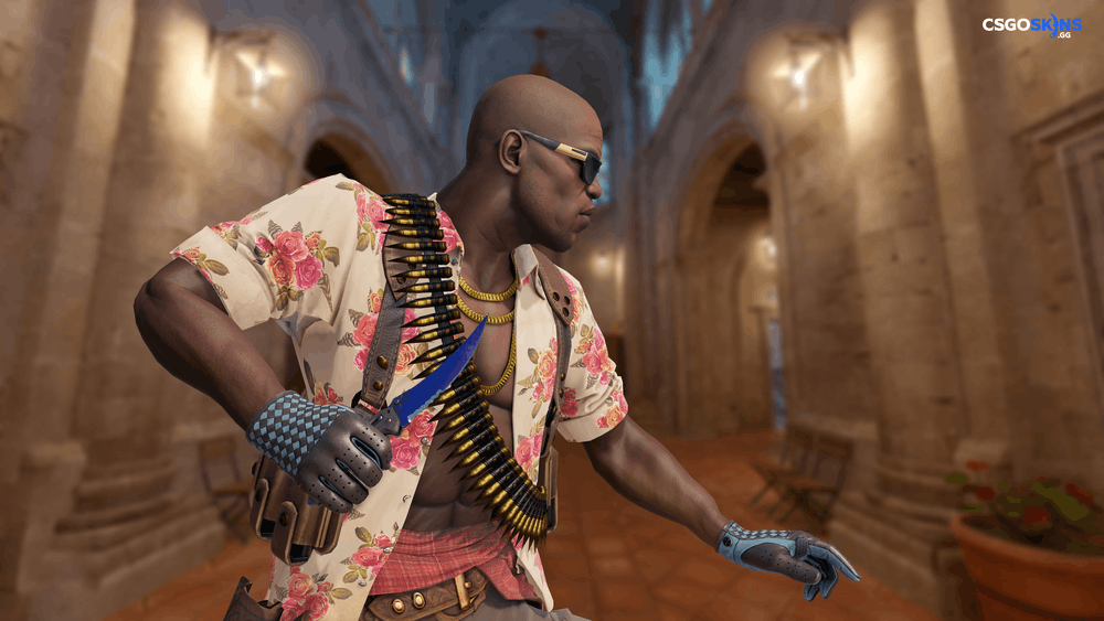 ★ Flip Knife | Doppler Phase 1 Artwork