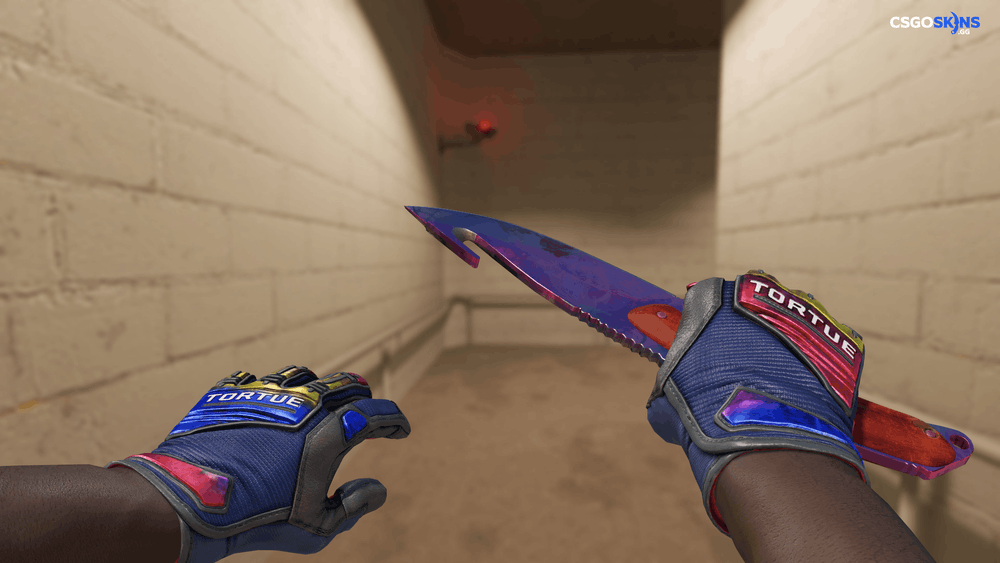 ★ Gut Knife | Doppler Phase 2 Artwork