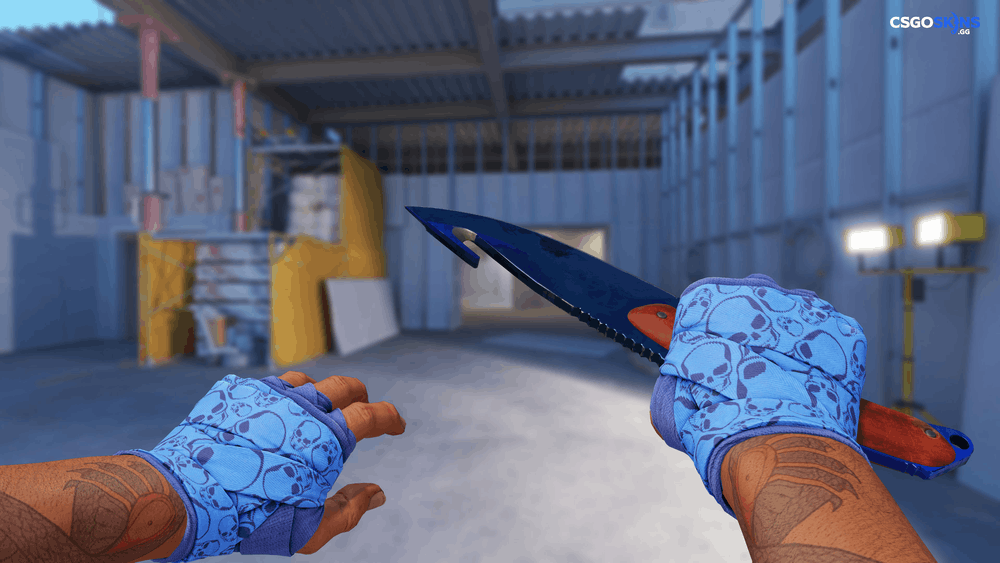 ★ Gut Knife | Doppler Phase 3 Artwork
