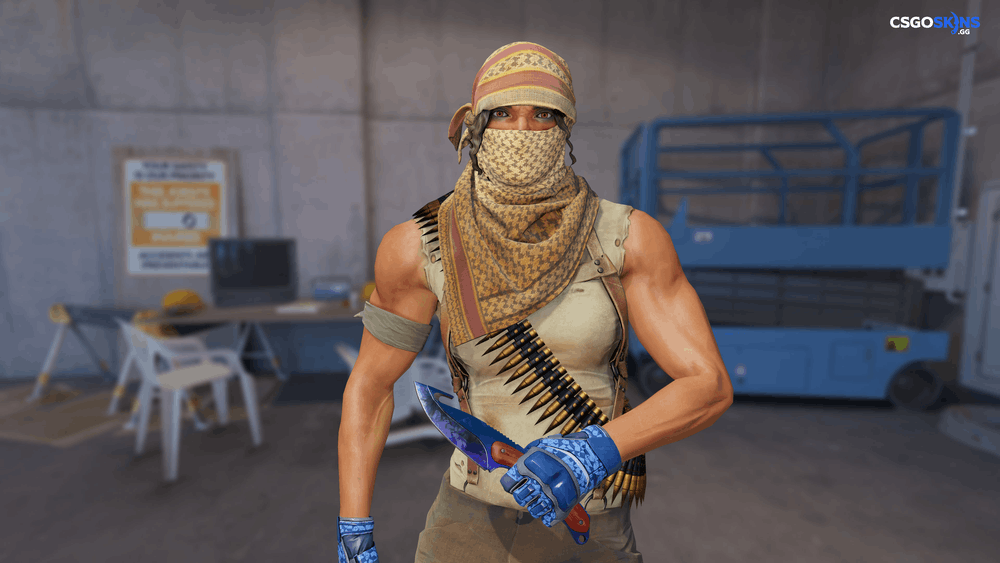 ★ Gut Knife | Doppler Phase 3 Artwork