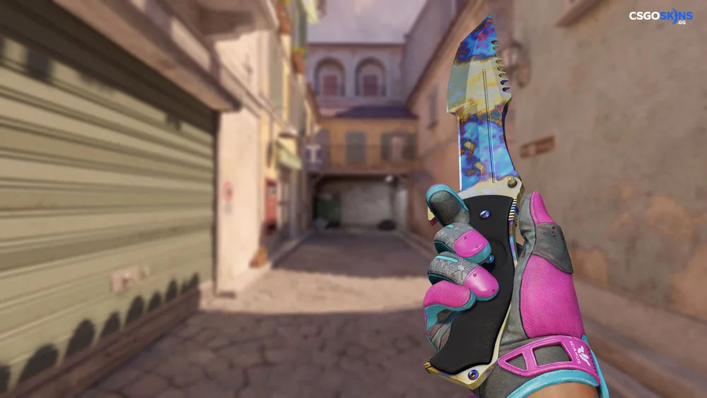 ★ Huntsman Knife | Case Hardened Artwork