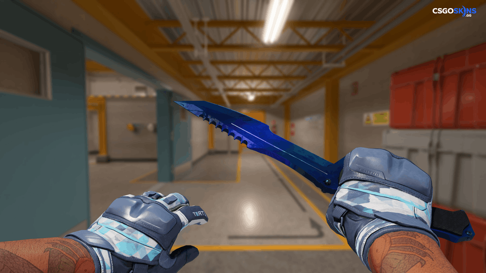 ★ Huntsman Knife | Doppler Phase 3 Artwork
