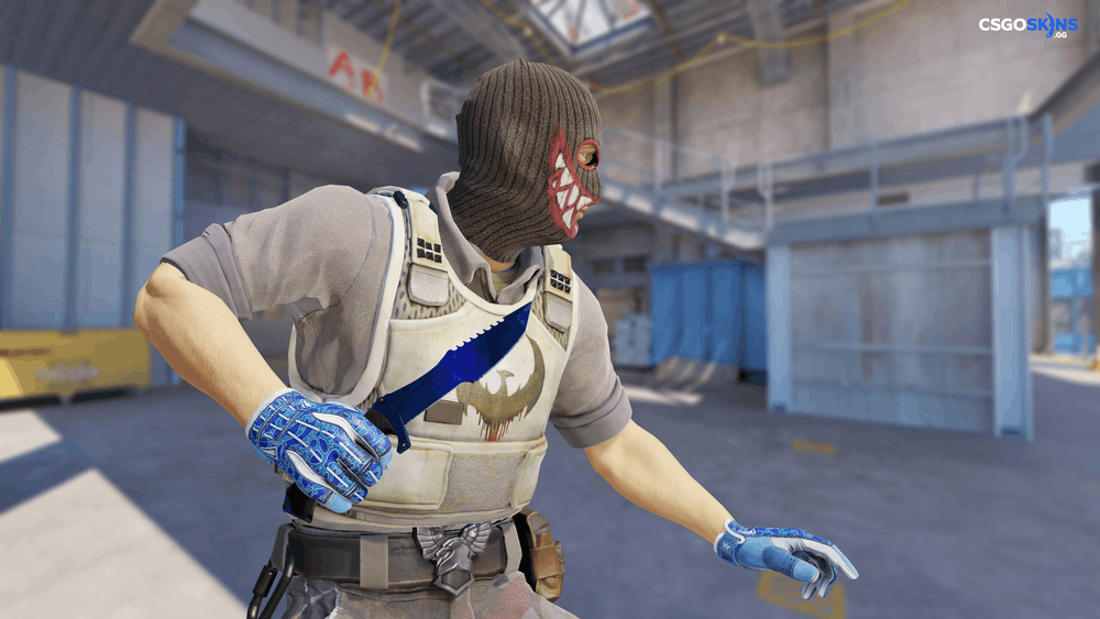 ★ Huntsman Knife | Doppler Phase 3 Artwork