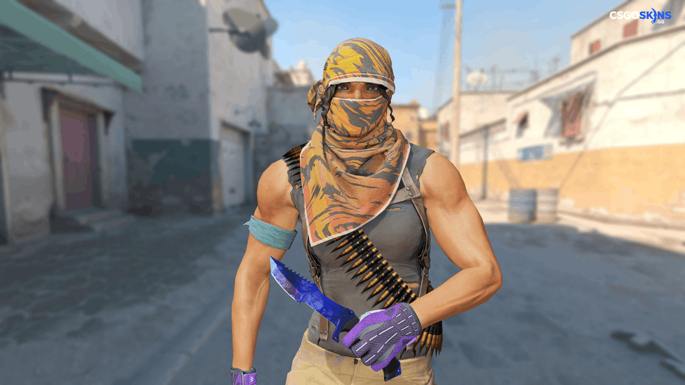 ★ Huntsman Knife | Doppler Phase 4 Artwork