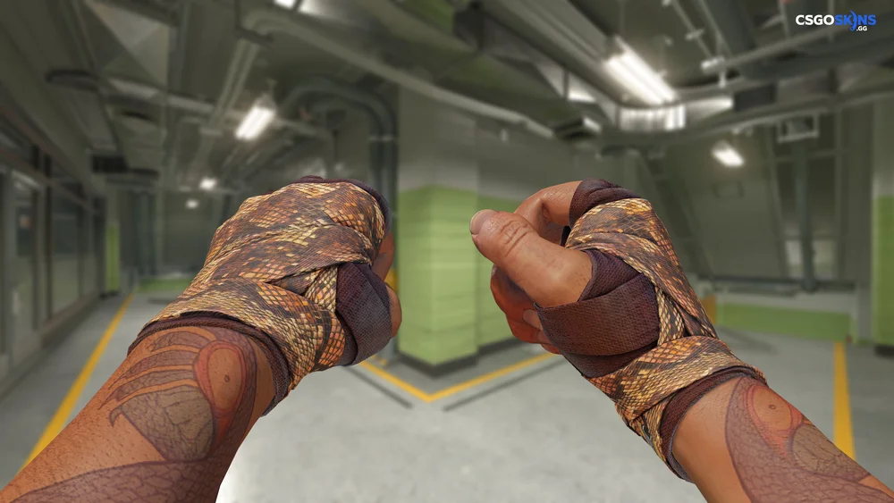★ Hand Wraps | Constrictor Artwork