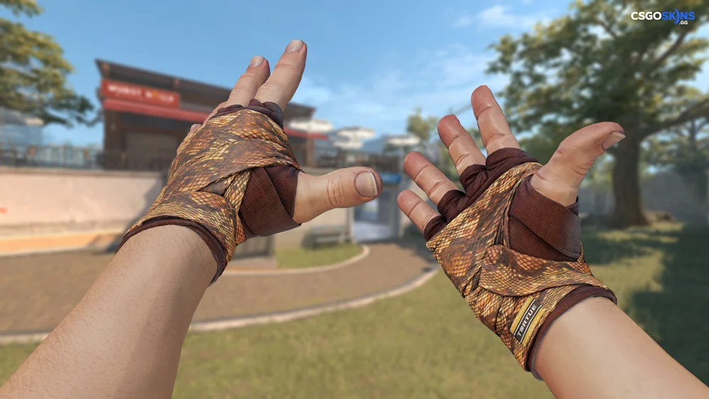 ★ Hand Wraps | Constrictor Artwork